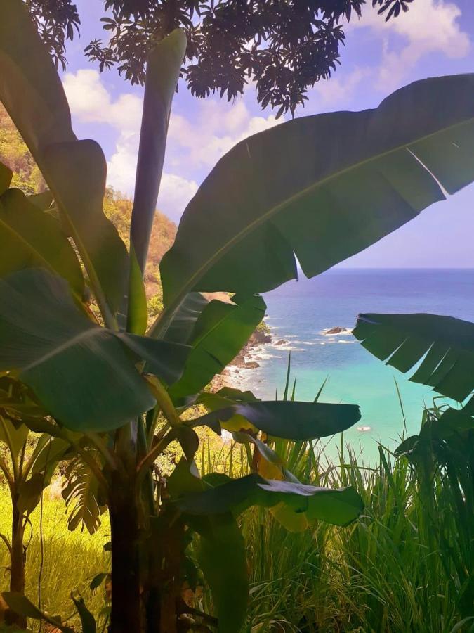 Castara Inn المظهر الخارجي الصورة