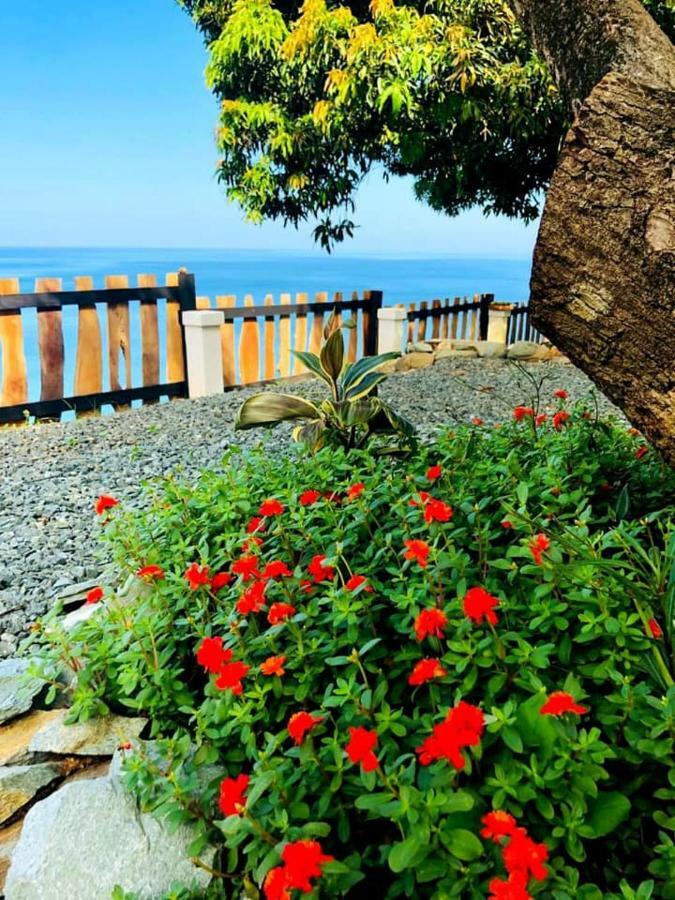 Castara Inn المظهر الخارجي الصورة
